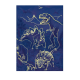 Puzzle XL - Lumea dinozaurilor neon (100 piese)