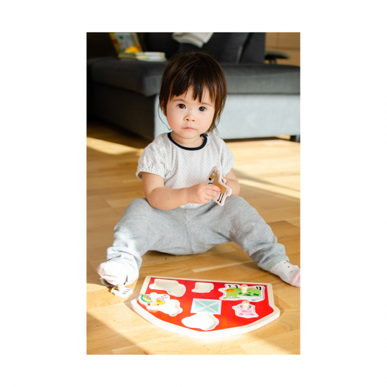 Puzzle din lemn - Casuta animalutelor