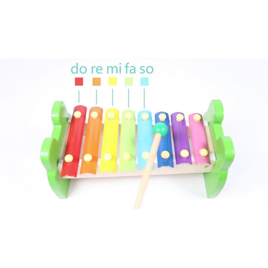 Xilofon din lemn - Broscuta vesela